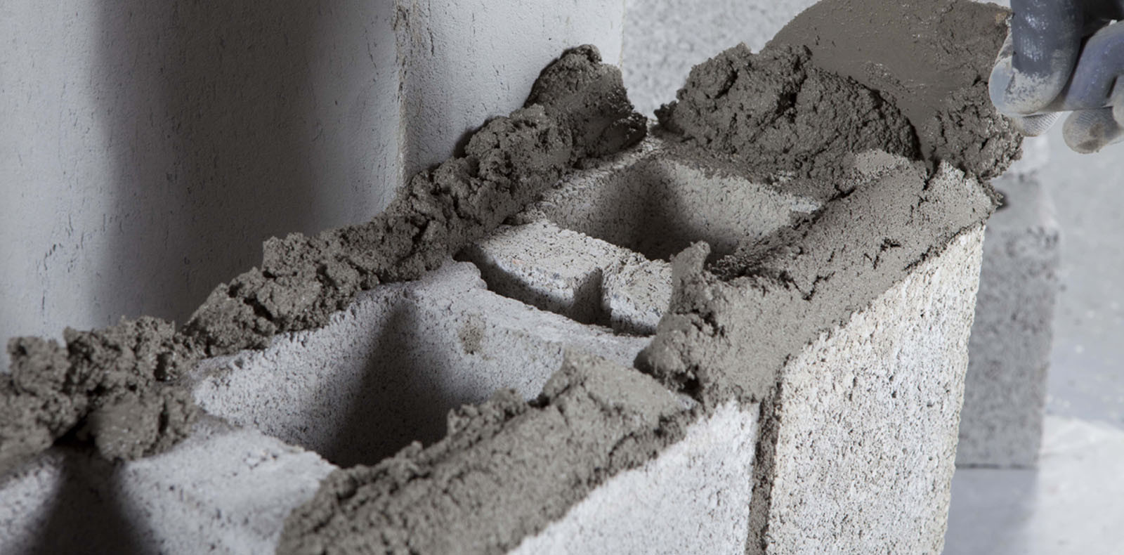 Facing Bricks or Concrete Blocks?